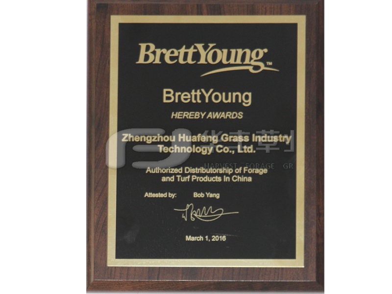 加拿大碧青种业公司授权书