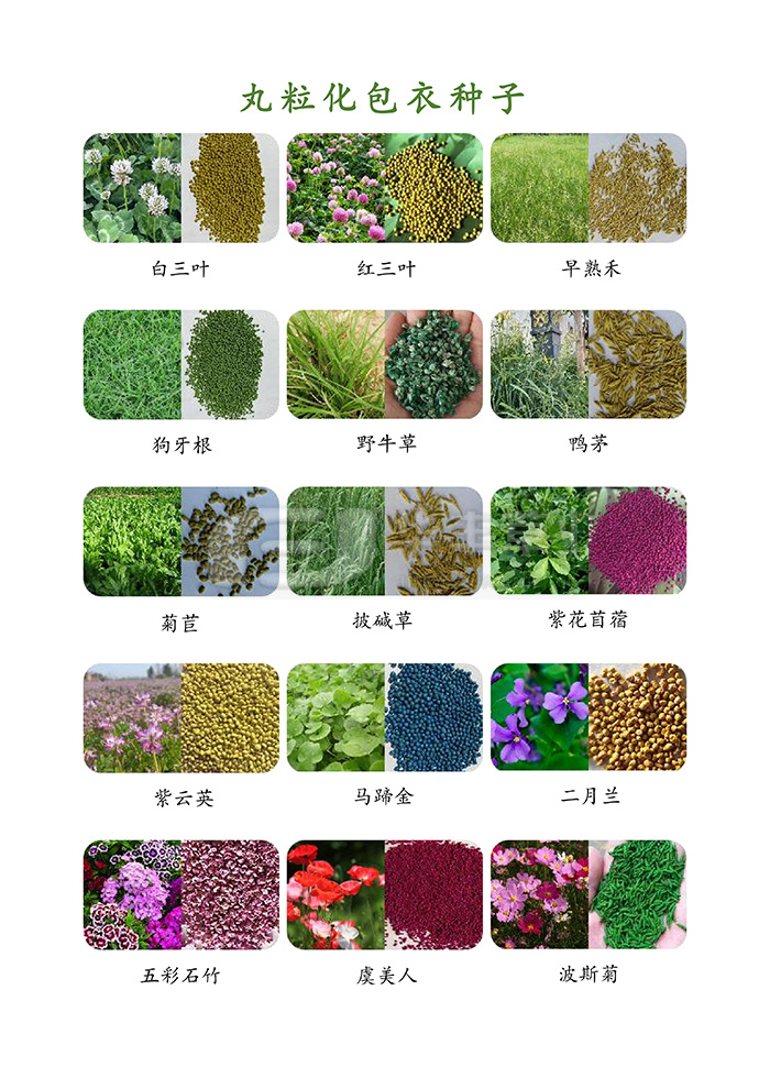 种子丸；庸