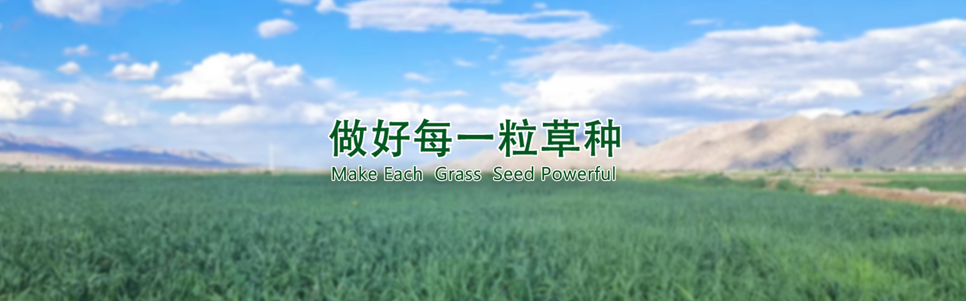 6966集团(中国)有限公司官网