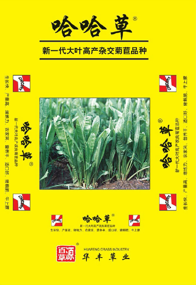 6966集团(中国)有限公司官网