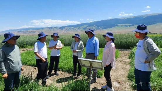 万亩无芒雀麦铺就草业发展新赛路